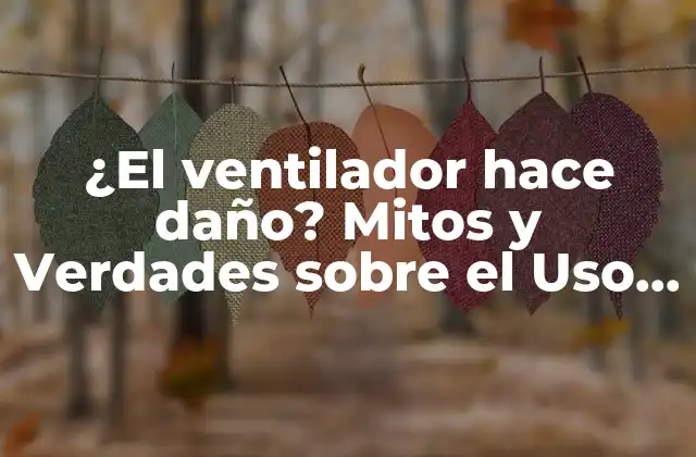 ¿el Ventilador Hace Daño? Mitos y Verdades sobre el Uso Del Ventilador