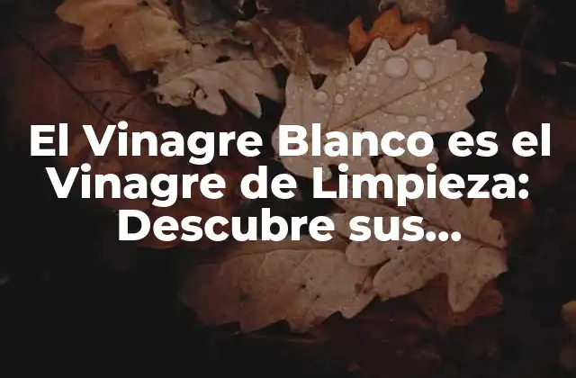 El Vinagre Blanco es el Vinagre de Limpieza: Descubre Sus Propiedades y Usos