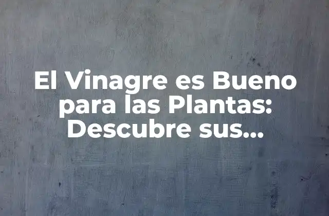 El Vinagre es Bueno para las Plantas: Descubre Sus Beneficios