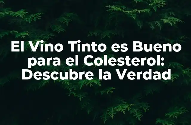 El Vino Tinto es Bueno para el Colesterol: Descubre la Verdad