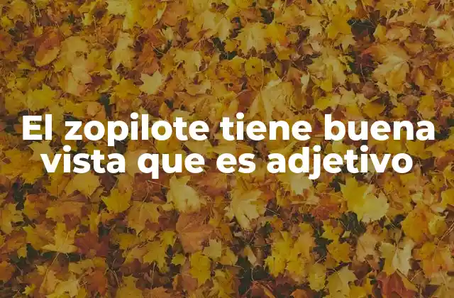 El Zopilote Tiene Buena Vista que es Adjetivo