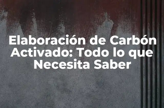 Elaboración de Carbón Activado: Todo Lo que Necesita Saber