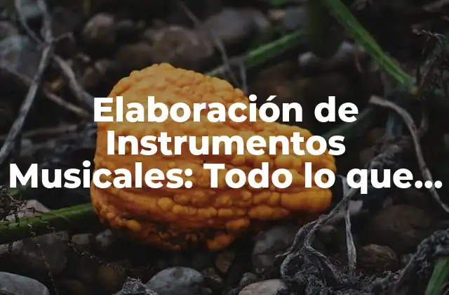 Elaboración de Instrumentos Musicales: Todo Lo que Necesitas Saber