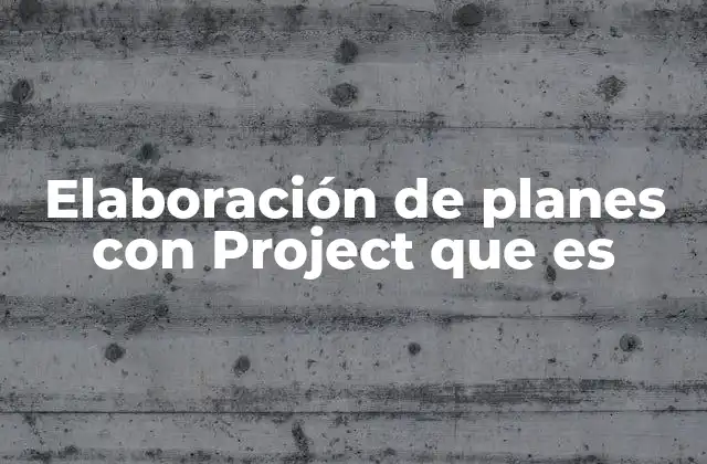 Elaboración de Planes con Project que es