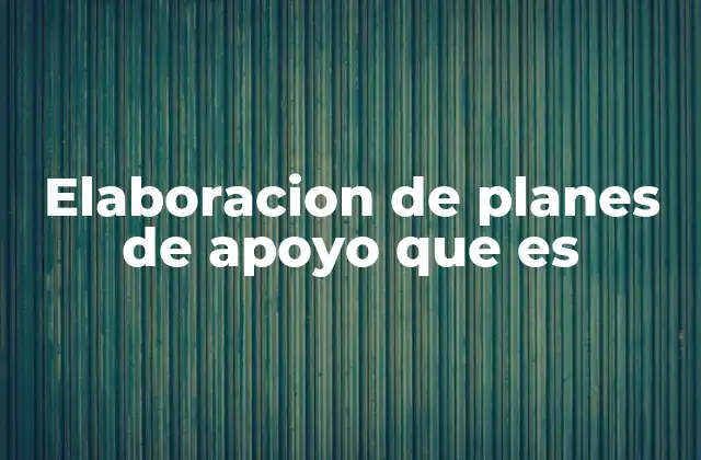 Elaboracion de Planes de Apoyo que es