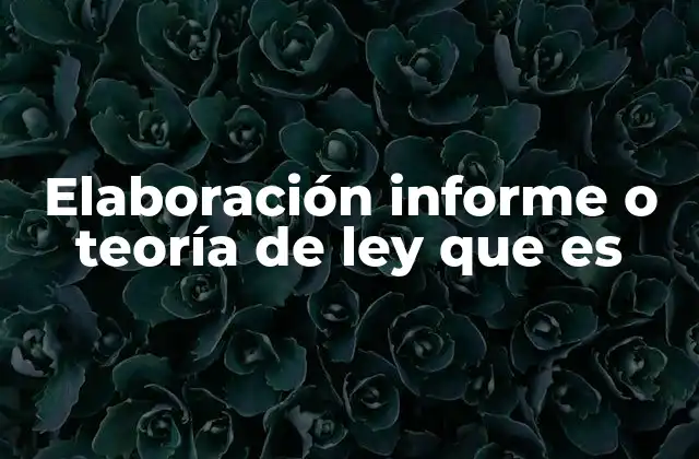 Elaboración Informe o Teoría de Ley que es 2 La importancia de estructurar ideas jurídicas de forma coherente