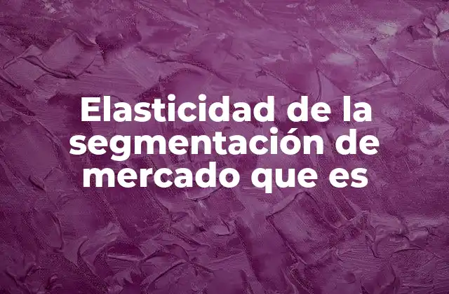 Elasticidad de la Segmentación de Mercado que es