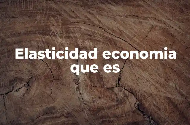 Elasticidad Economia que es