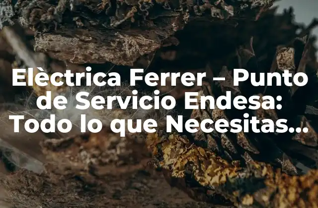Elèctrica Ferrer – Punto de Servicio Endesa: Todo Lo que Necesitas Saber