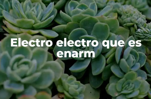 Electro Electro que es Enarm 2 El uso de términos musicales en lenguaje coloquial