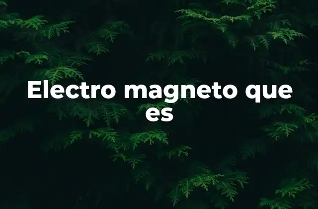 Electro Magneto que es