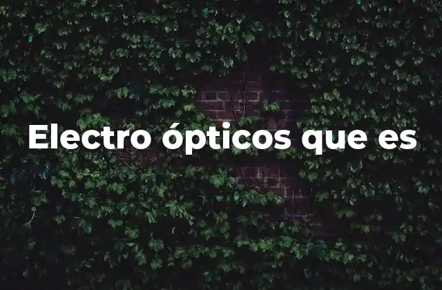 Electro Ópticos que es