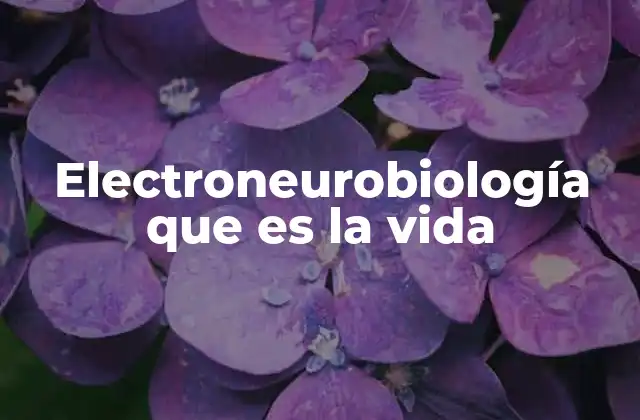 La intersección entre la biología y la electricidad en la existencia humana