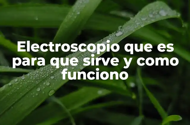 Electroscopio que es para que Sirve y como Funciono