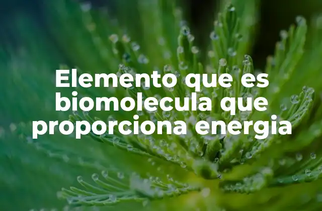 Elemento que es Biomolecula que Proporciona Energia