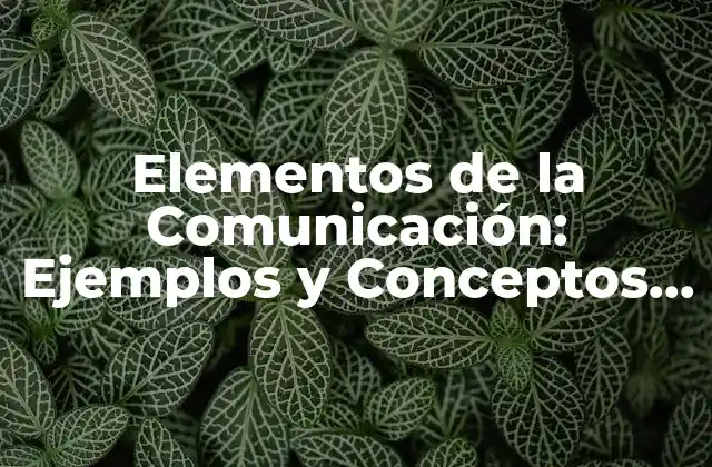 Elementos de la Comunicación: Ejemplos y Conceptos Fundamentales