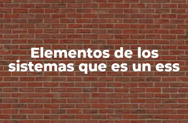 Elementos de los Sistemas que es un Ess