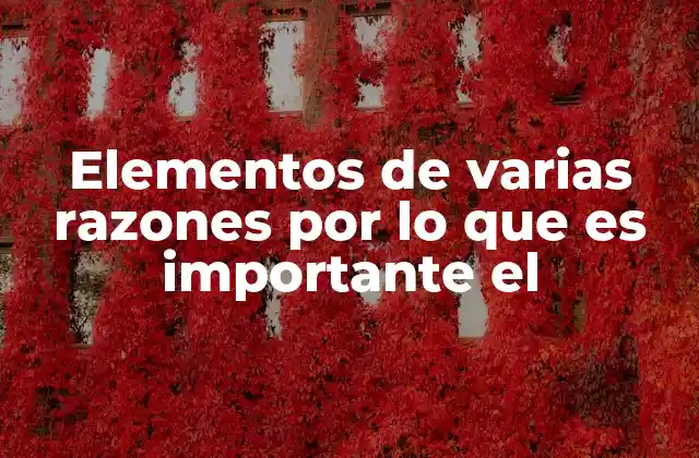 Elementos de Varias Razones por Lo que es Importante el