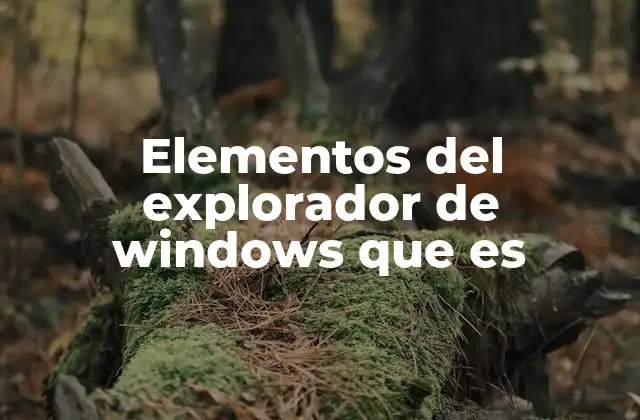 Elementos Del Explorador de Windows que es