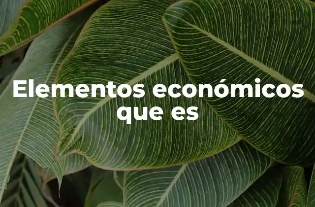 Elementos Económicos que es