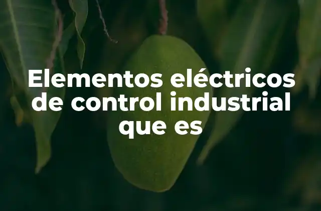 Elementos Eléctricos de Control Industrial que es