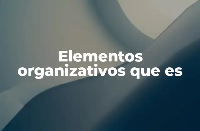 Elementos Organizativos que es