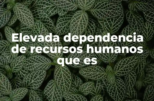 Elevada Dependencia de Recursos Humanos que es