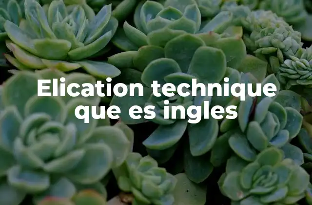 Elication Technique que es Ingles 2 Aplicaciones prácticas de la técnica de elicitation