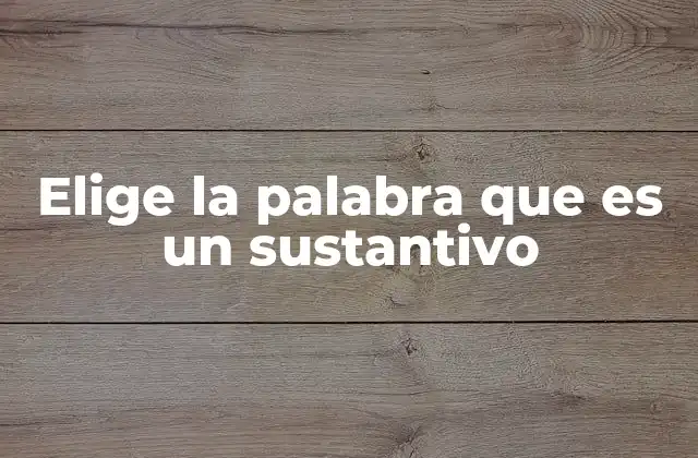 Elige la Palabra que es un Sustantivo