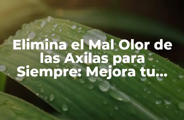 Elimina el Mal Olor de las Axilas para Siempre: Mejora Tu Higiene con los Mejores Productos