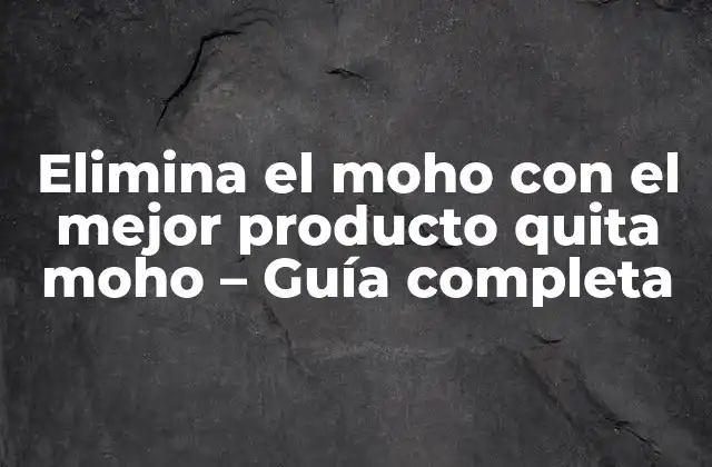 Elimina el Moho con el Mejor Producto Quita Moho – Guía Completa