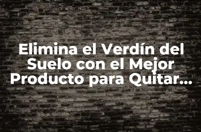 Elimina el Verdín Del Suelo con el Mejor Producto para Quitar Verdín Del Suelo