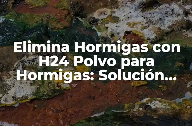 Elimina Hormigas con H24 Polvo para Hormigas: Solución Efectiva y Segura