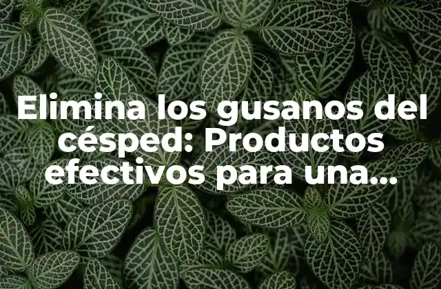 Elimina los Gusanos Del Césped: Productos Efectivos para una Hierba Saludable