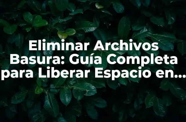 Eliminar Archivos Basura: Guía Completa para Liberar Espacio en Su Dispositivo