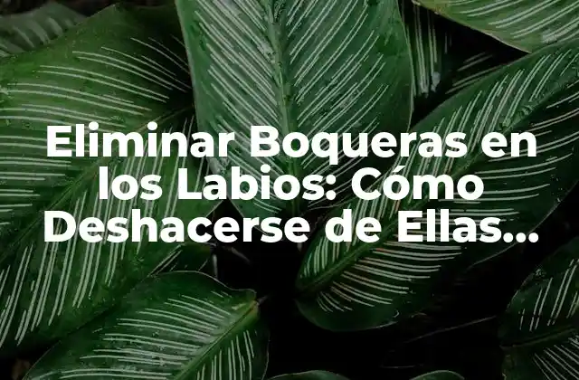 Eliminar Boqueras en los Labios: Cómo Deshacerse de Ellas para Siempre