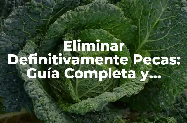 Eliminar Definitivamente Pecas: Guía Completa y Efectiva