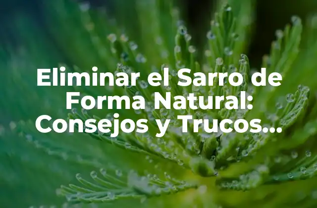 Causas del Sarro y su Impacto en la Salud Oral