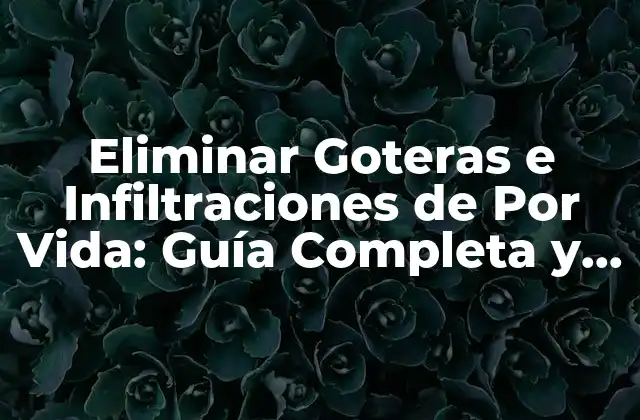 Eliminar Goteras e Infiltraciones de por Vida: Guía Completa y Definitiva