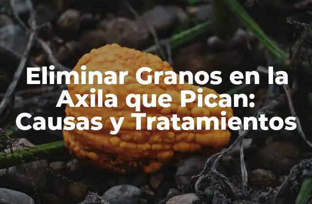 Eliminar Granos en la Axila que Pican: Causas y Tratamientos