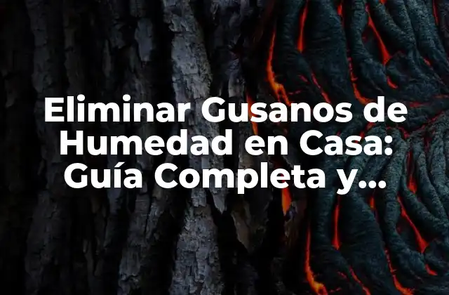 Eliminar Gusanos de Humedad en Casa: Guía Completa y Definitiva
