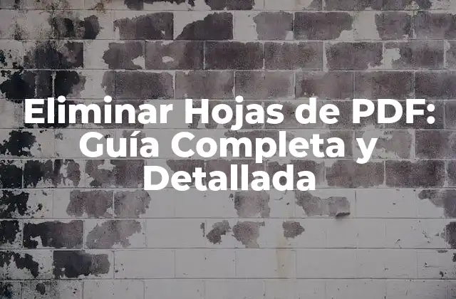 Eliminar Hojas de Pdf: Guía Completa y Detallada 2 ¿Por qué Eliminar Hojas de PDF es Importante?