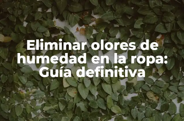 Eliminar Olores de Humedad en la Ropa: Guía Definitiva