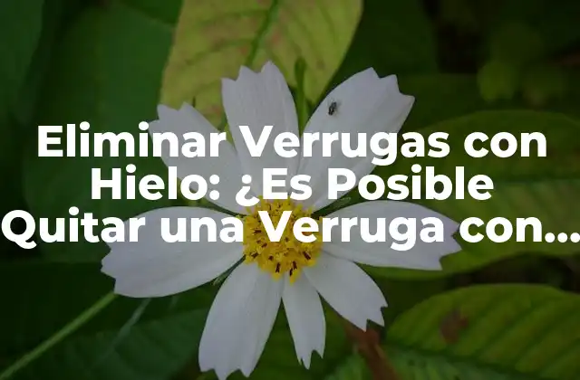 Eliminar Verrugas con Hielo: ¿es Posible Quitar una Verruga con Hielo?