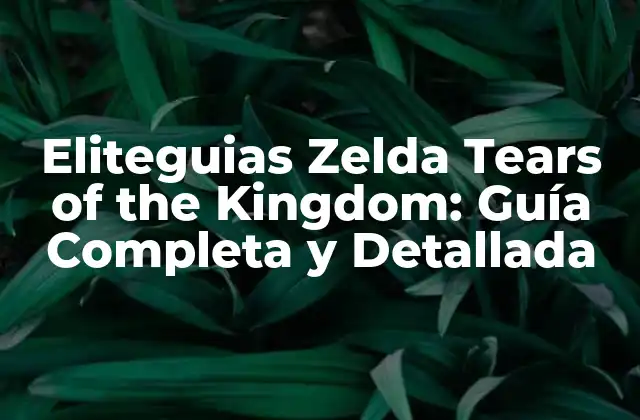 Eliteguias Zelda Tears Of The Kingdom: Guía Completa y Detallada