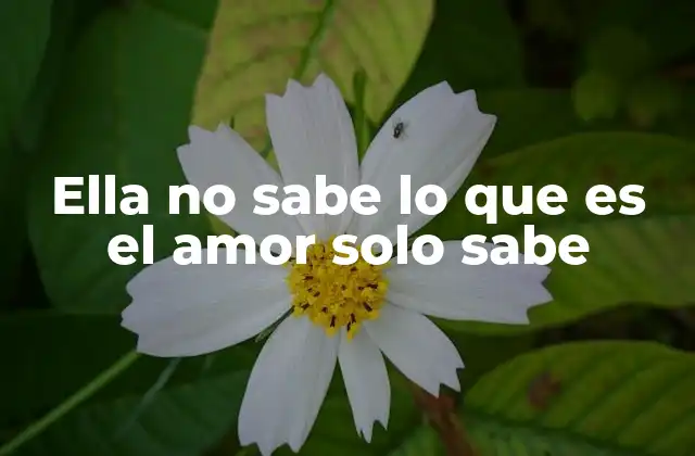 Ella No Sabe Lo que es el Amor Solo Sabe