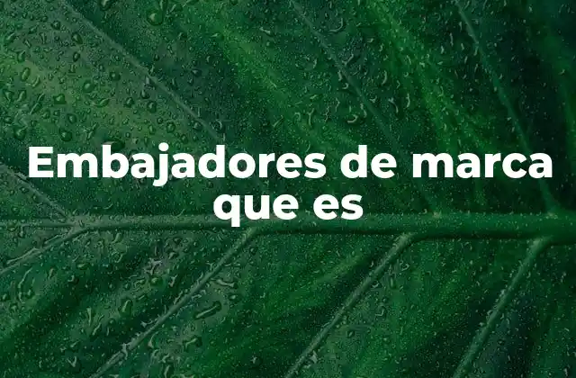 El papel de los embajadores en la estrategia de marketing