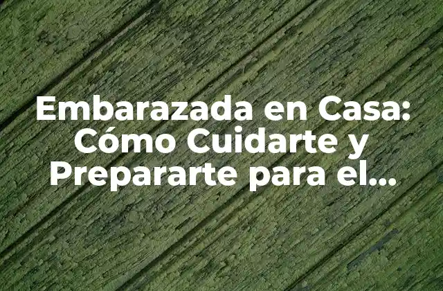 Cuidados Básicos para Embarazadas en Casa