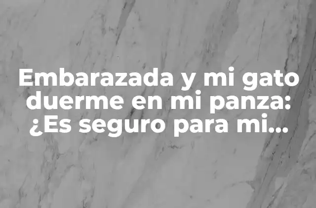 Embarazada y Mi Gato Duerme en Mi Panza: ¿es Seguro para Mi Bebé?