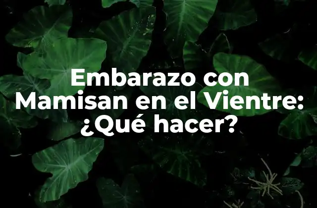 Embarazo con Mamisan en el Vientre: ¿qué Hacer?